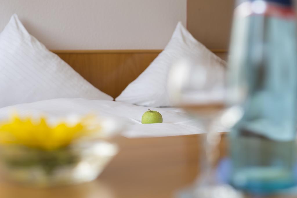 Hotel Gasthof Sonne Fridingen an der Donau Eksteriør bilde