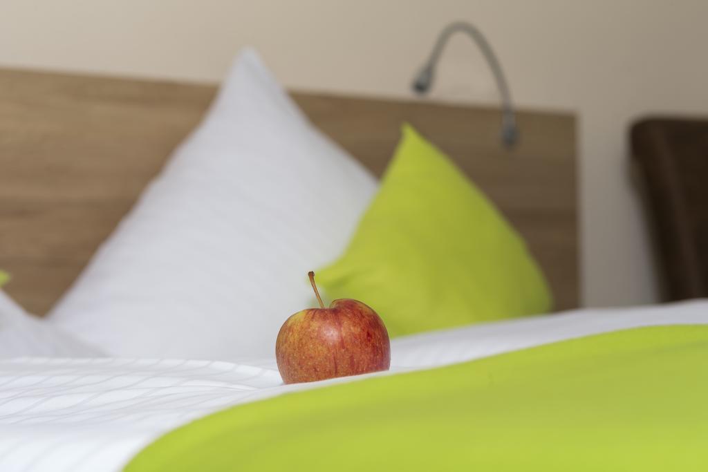 Hotel Gasthof Sonne Fridingen an der Donau Eksteriør bilde
